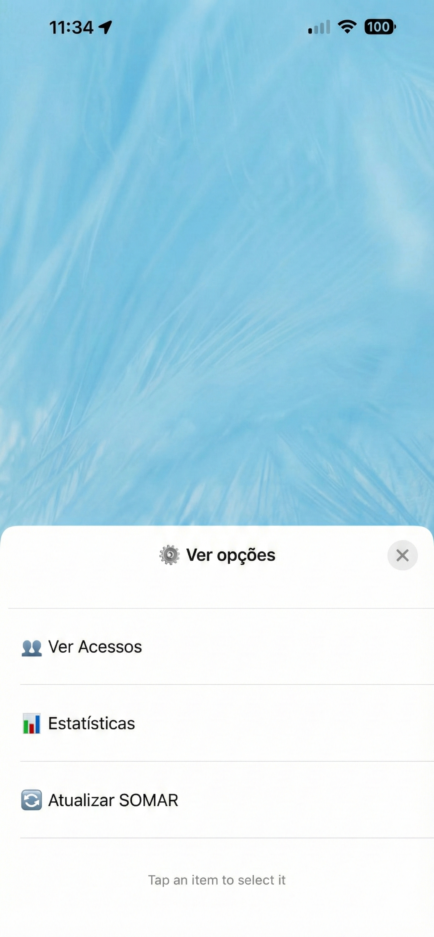 Mostrando detalhes do menu administrativo para gestores.